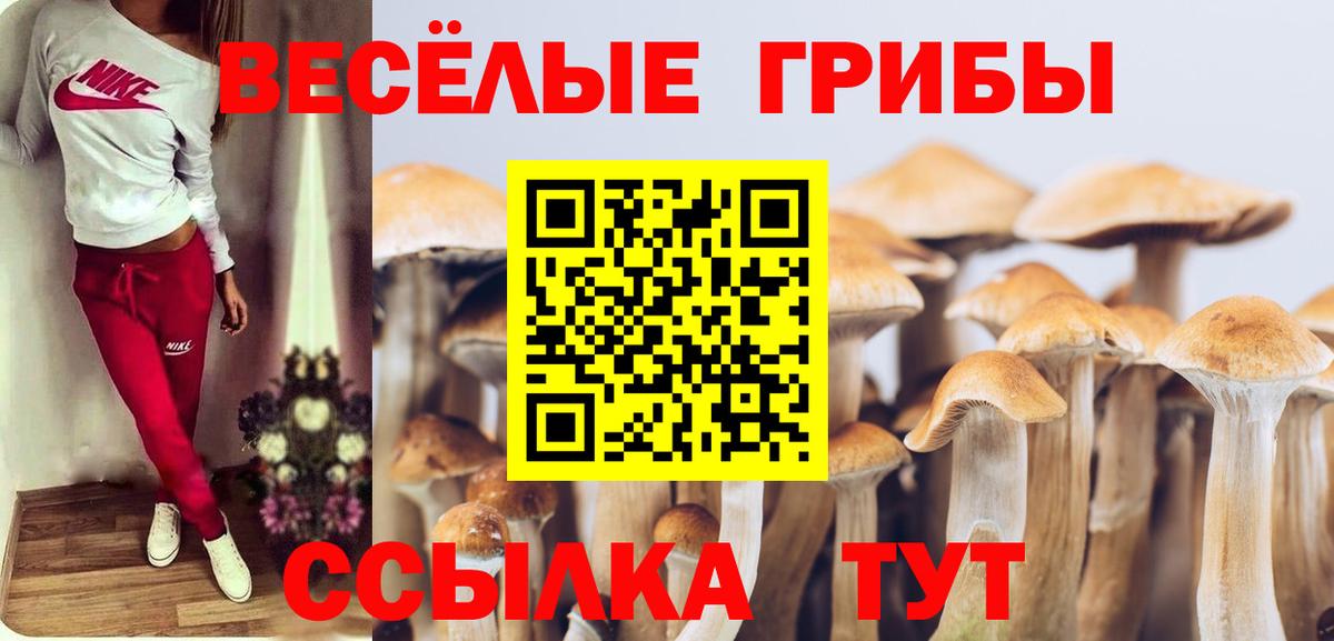 где продают наркотики  Галлюциногенные грибы мухоморы  Псилоцибиновые грибы мицелий  Вход с VPN  Кинешма 
